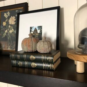 SET OF 2 Halloween Terracotta and Sage stine pumpkins - Studio Mcgee